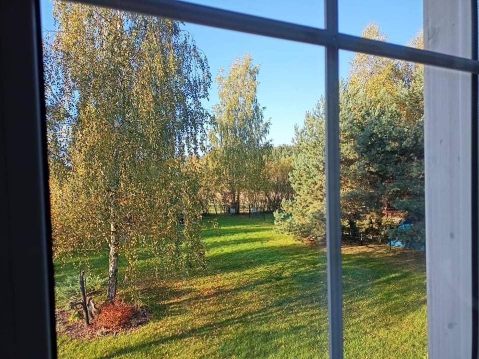 Ferienhaus Miedzy Brzozami *